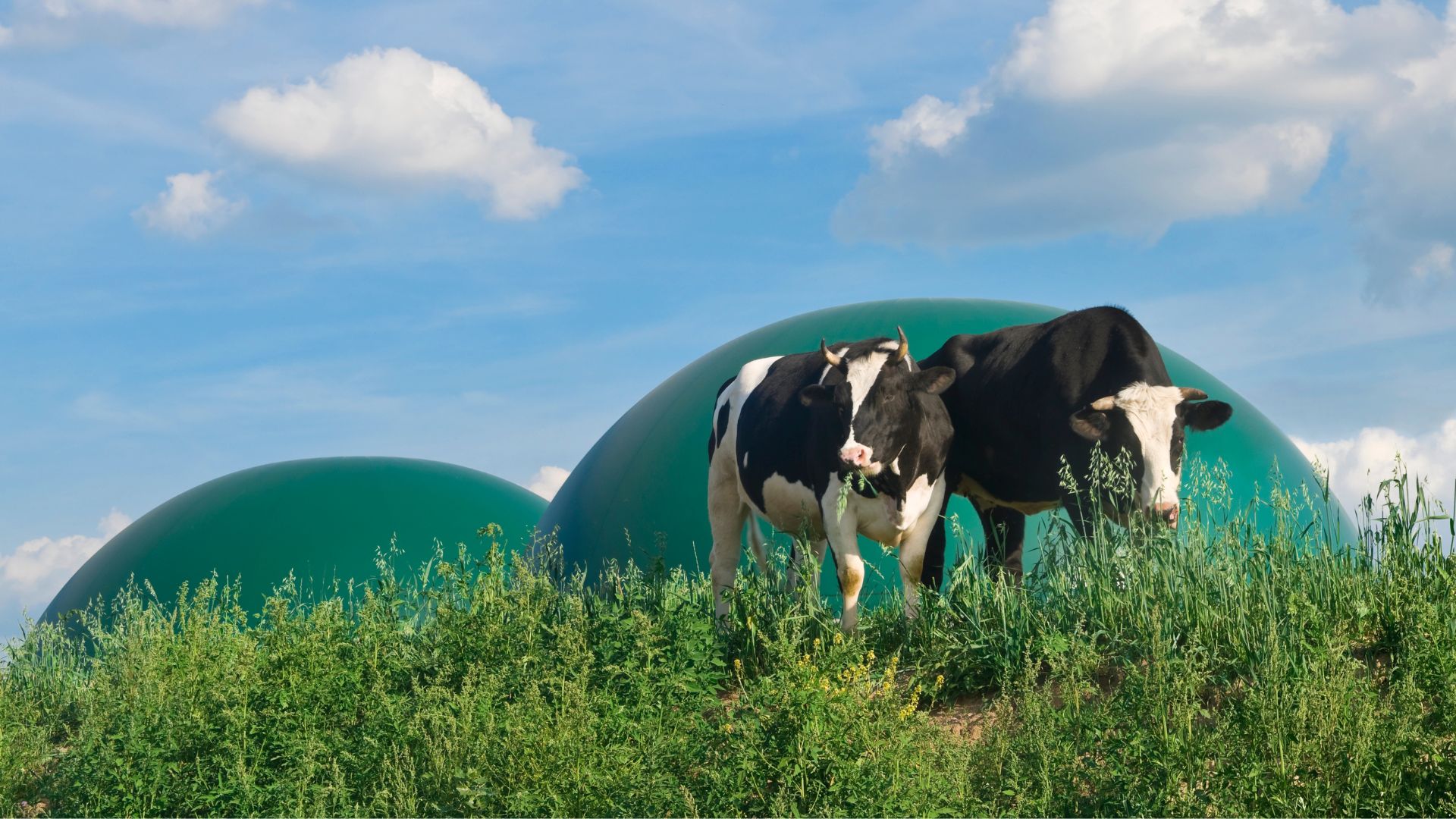 In agricoltura, l’autoconsumo è il miglior incentivo