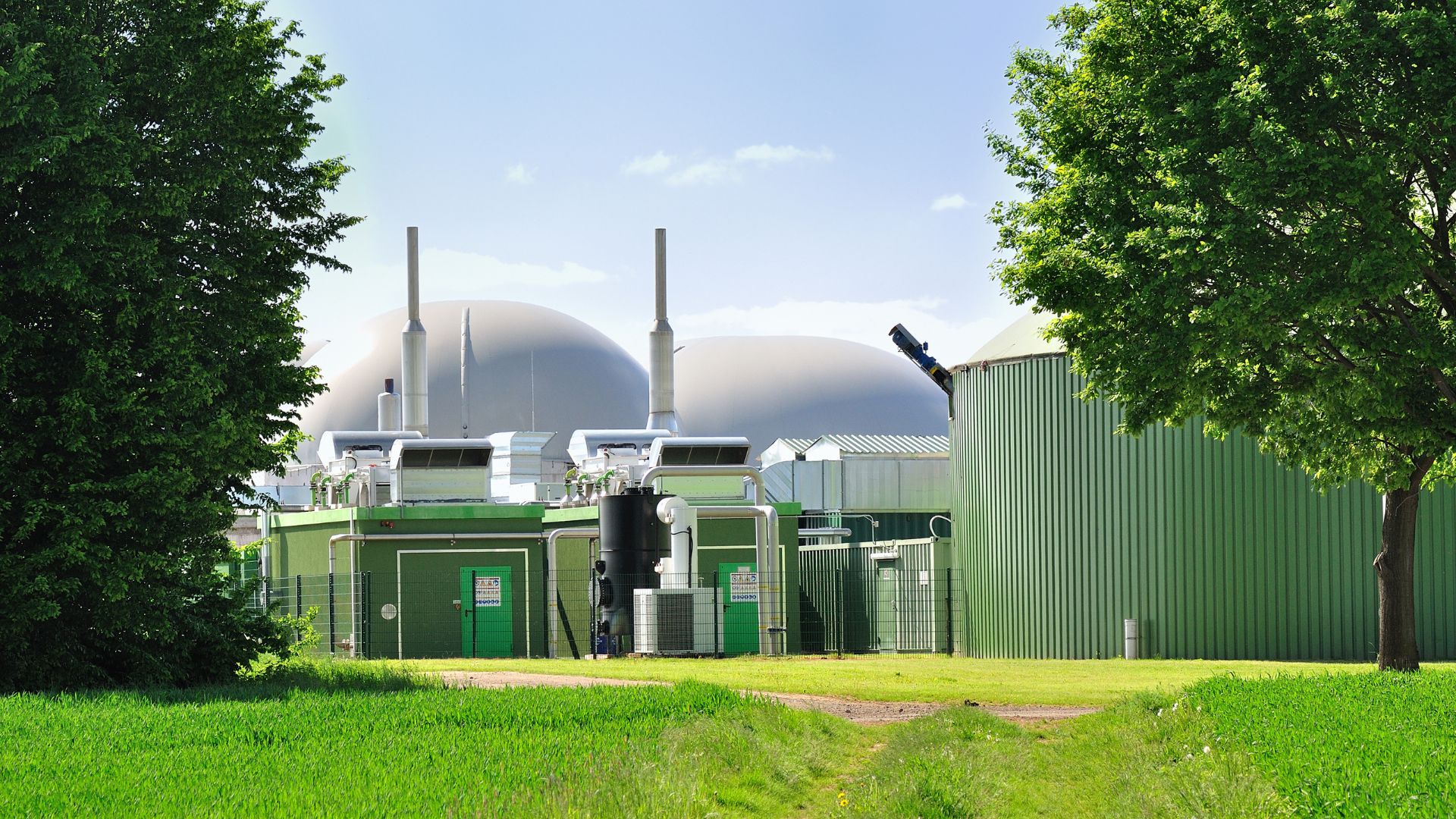 Biogas: what it is, how it works, and how it generates energy from organic waste